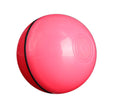 Miwaoo Smart Laser Rolling Ball™ | Interactive Cat Toy