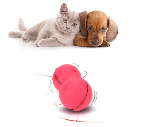 Miwaoo Smart Laser Rolling Ball™ | Interactive Cat Toy