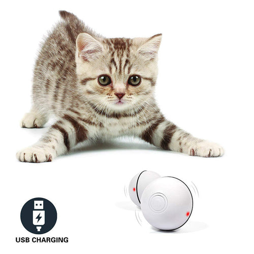 Miwaoo Smart Laser Rolling Ball™ | Interactive Cat Toy