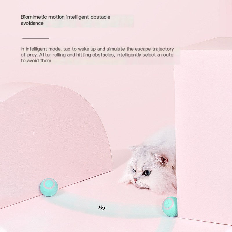 Smart Rolling miwaoo Cat Ball™ – Interactive Cat Toy