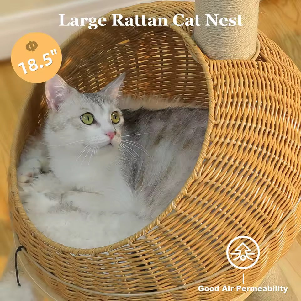 Dinosaur Luxury Cat Tree Tower